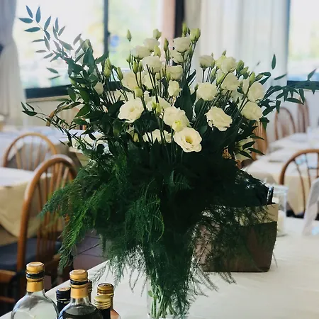 Hotel Brunella